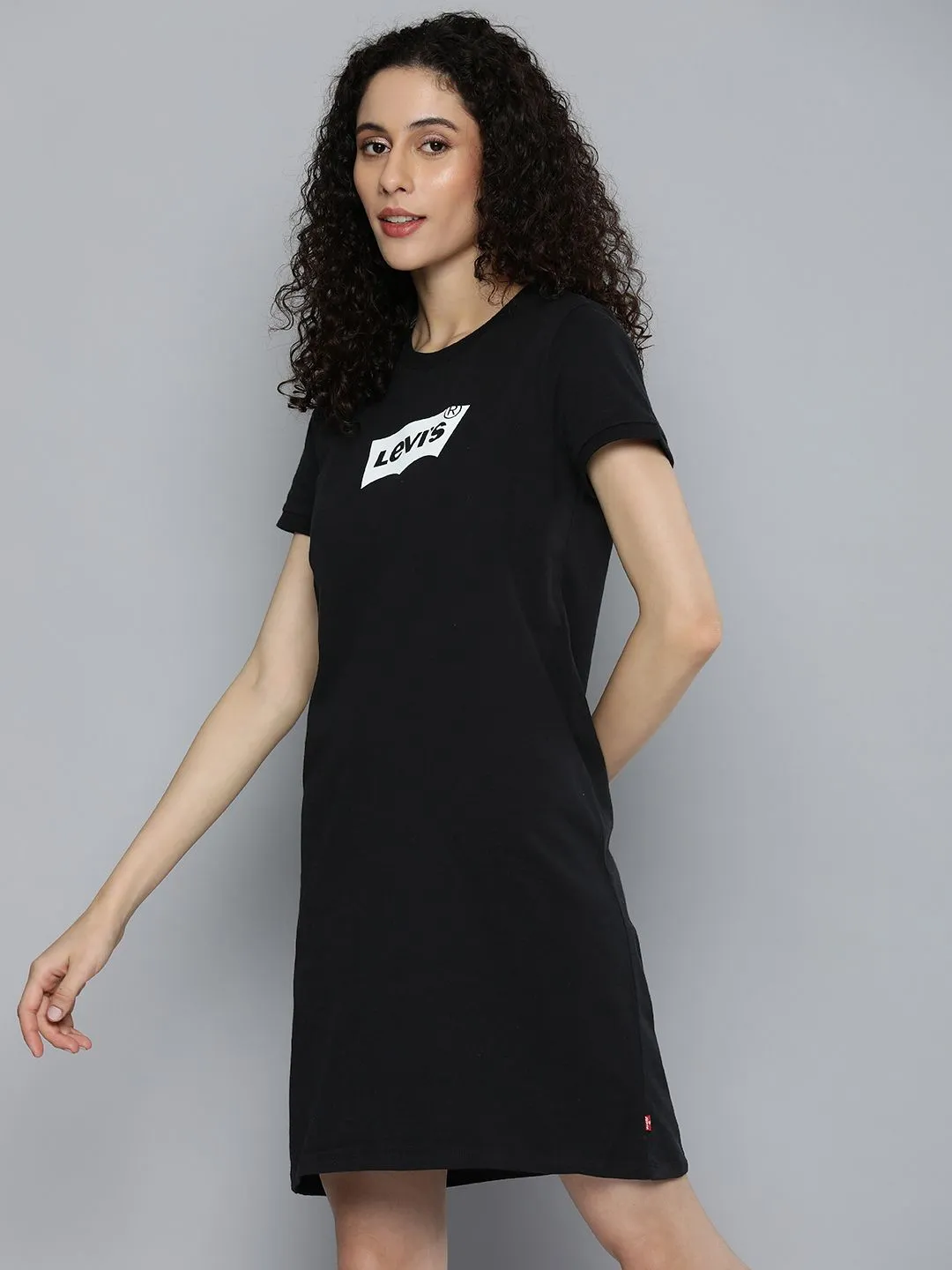 Women Regular Fit Dress